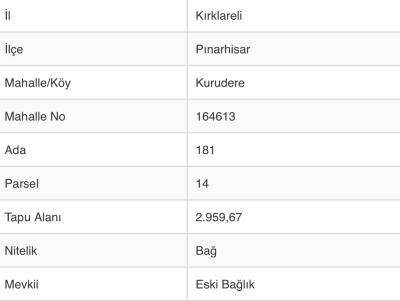 KURUDERE KÖYÜNDE BARAJA YAKIN, BAĞ EVLERİ YOLUNDA SATILIK TARLA