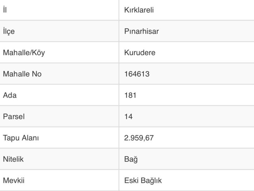 KURUDERE KÖYÜNDE BARAJA YAKIN, BAĞ EVLERİ YOLUNDA SATILIK TARLA-4