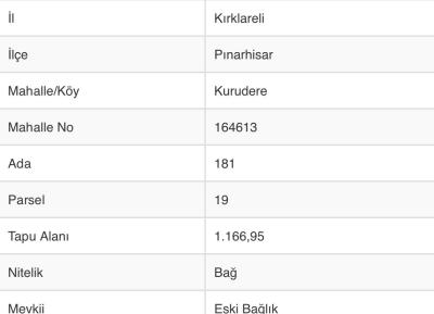 KURUDERE KÖYÜNDE BARAJA YAKIN, BAĞ EVLERİ YOLUNDA SATILIK TARLA
