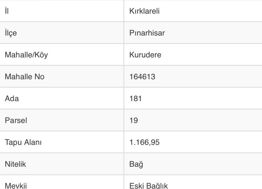 KURUDERE KÖYÜNDE BARAJA YAKIN, BAĞ EVLERİ YOLUNDA SATILIK TARLA-5