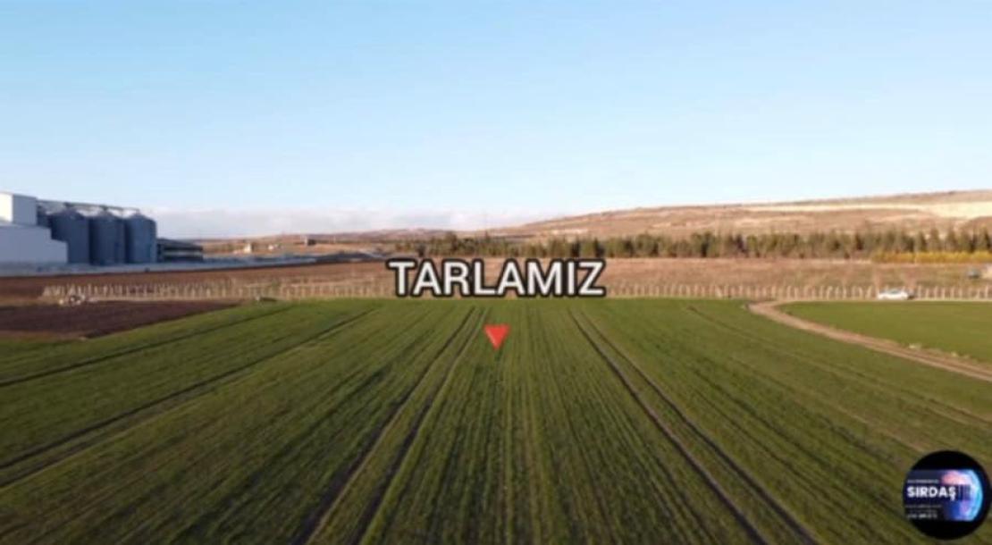 SATILIK 16638 M2 TARLA PINARHİSAR SANAYİ BÖLGESİNDE-6