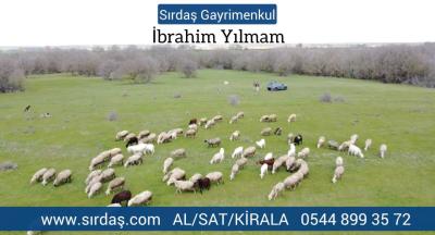 Sırdaş Gayrimenkulden Lüleburgaz Ceylanköyde Satılık Tarla 684M2