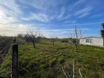 Lüleburgaz'a yakın konumda satılık tarla/bahçe fırsatı!