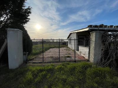 Lüleburgaz'a yakın konumda satılık tarla/bahçe fırsatı!